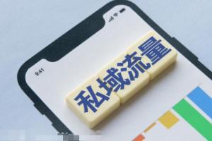 私域流量搭建和运营课程：从实战选品和裂变到后期流量维护