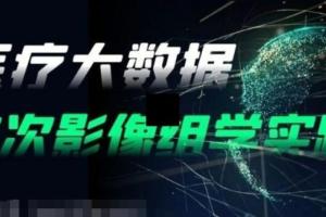 医疗大数据与人工智能高级课程,基于python AI打造智能影像学科技术