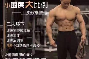 麦大湿【小围度大比例】上肢形态塑造健身训练精准教授课程