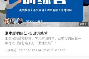 桑德拉销售学院：潜水艇销售法实战训练营