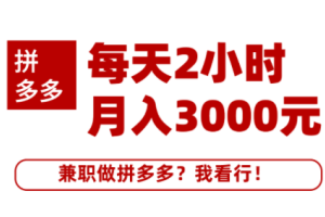 搜外拼多多副业课百度云