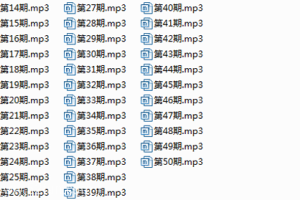 公务员成长、复习策略50讲（mp3）