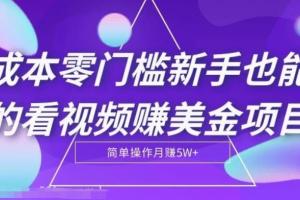 赚美金容易的项目：看视频1小时赚28美金零投入项目