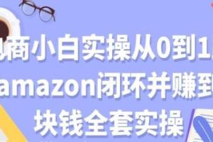 Amazon赚钱实操：从0到1跑通闭环并赚到一块钱全套教程