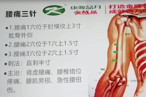 葛建勋民间针灸绝技第四季：太极三针、女科三针、命门三针、胀三针