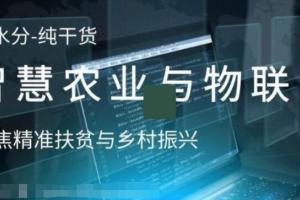智慧农业与物联网开发课程:从项目建设到持续集成 可视化项目 项目运维