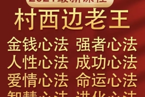 《村西边老王》- 8部巨作
