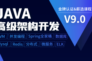 Java开发之Solr搜索引擎视频教程