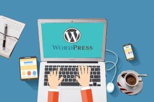 WordPress从零开始外贸建站：让你掌握WordPress建站视频