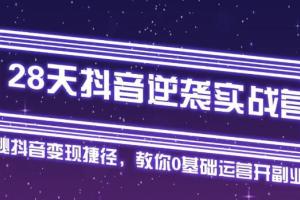 野火老师28天抖音逆袭实战营：从0学习抖音运营2个月