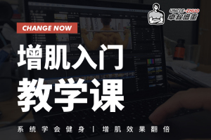 卓叔:《增肌入门教学课》系统学会健身,增肌效果翻倍