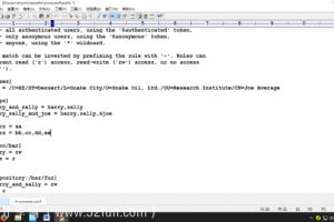 SVN可视化 TortoiseSVN Eclipse SVN实战部署 SVN基础
