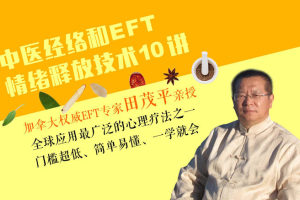 田茂平:中医经络理论和EFT情绪释放技术10讲
