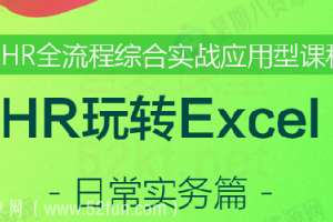 HR必学Excel技能：日常实务篇ExcelHome云课堂（视频 课件）