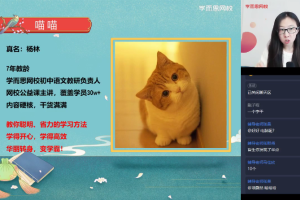 杨林七年级阅读写作班【2021春-完结】