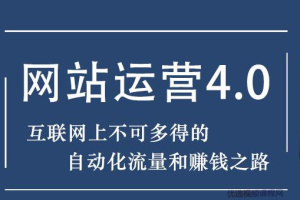 暴疯团队课程：网站赚钱项目4.0，快速增长流量与盈利自动化的赚钱之路