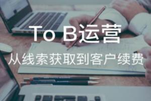 To B运营：从线索获取到客户续费系统课
