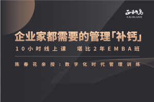 陈春花：中国企业数字化转型必修课