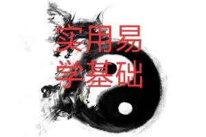 颜仕(林武樟)：颜仕梅花易数122卦例22讲 讲义