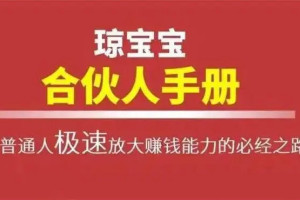 琼宝宝：380页的《合伙人手册》有效激励而不失控制权