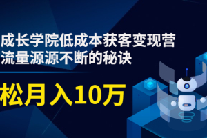 素宣成长学院：低成本获客变现营，教你流量源源不断的秘诀