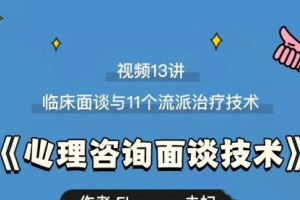 心理咨询面谈技术课：理论讲授 案例实录 解释点评视频