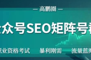 高鹏圈·公众号SEO矩阵号群项目，实操20天纯收益25000