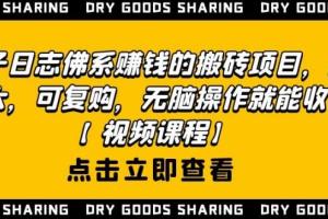 强子日志课程：佛系赚钱的搬砖项目，无脑操作就能不断收钱