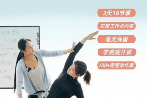 赞赞：椅子瑜伽线上工作坊终极篇16课时