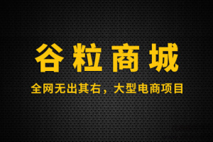 Java大型电商项目：谷粒商城（对标阿里P6/P7剑指40-60W）