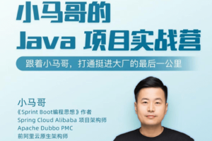 小马哥java项目实战营