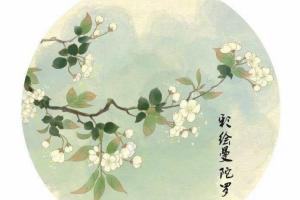 严虎绘画心理学课程30讲 严虎彩绘曼陀罗实践绘画视频课程26讲