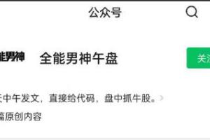 全能男神《龙头股低吸操盘手册》 PDF文档