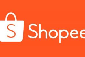 2021Shopee跨境电商实战运营课程，0基础、0经验、0投资的副业项目