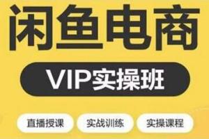 锡恩直播带货3.0盈利实操课：助你做好直播带货，让你真正实现躺赚