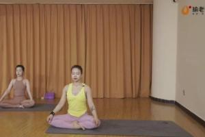 瑜老师·陈飞：能量流 开髋流 核心流 瑜伽序列成品编排课（精华版）