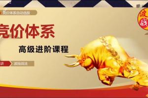 集合竞价选股诀窍：波段战法竞价系统进阶高级课程（带通达信自动选股永久版）