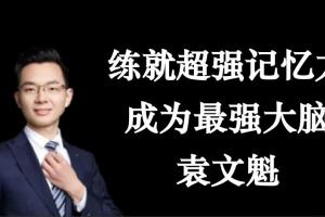 袁文魁记忆培训课程_袁文魁疯狂大脑百度云