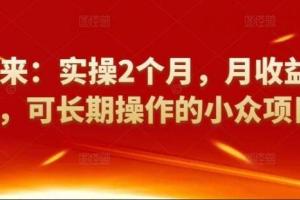 祖小来：实操2个月收益4万 ，可长期操作的小众项目