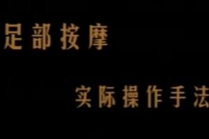 陈炳乐中医足疗教程