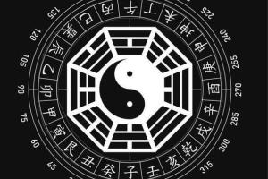 17套六爻视频教程合集( 138.39G百度云)