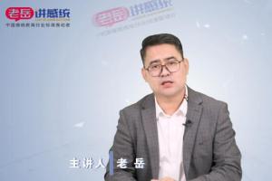 老岳感统触觉训练教程视频（2021版）