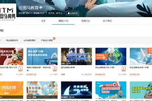 应图马第11期基础班 提升班 ipad课 12期应图马大师班【有笔刷素材】