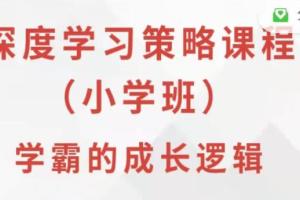 叶修深度学习策略课程·小学班（百度网盘）