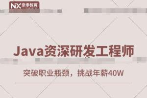 奈学教育·2021 Java资深研发工程师1期（百度网盘）