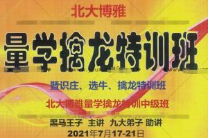 黑马王子·量学擒龙涨停中级特训班2021年7月(音频 讲义)
