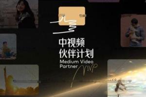 猎人联盟城哥：中视频搬砖撸金计划课程（1期 2期）