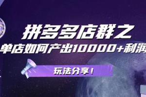 大凯电商·拼多多店群：单店一样可以产出1万5以上利润(公众号付费文章)