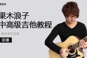 果木浪子中高级吉他教程百度云（60GB）
