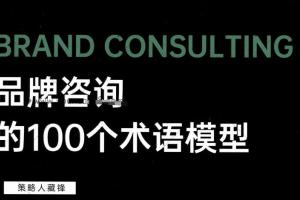 品牌咨询的100个术语 多个品牌产品模式